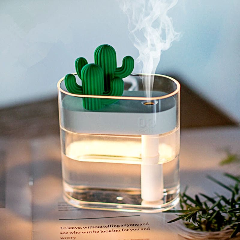 Petit humidificateur brumisateur silencieux - NOZ