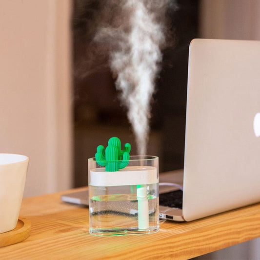 Petit humidificateur brumisateur silencieux - NOZ