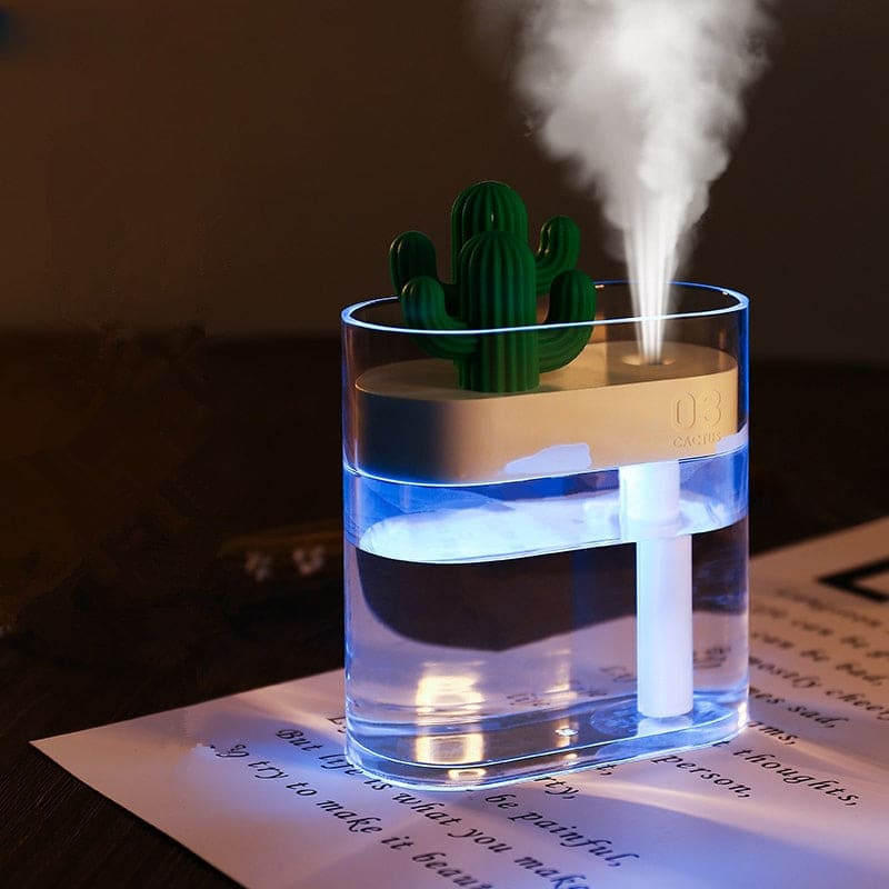 Petit humidificateur brumisateur silencieux - NOZ