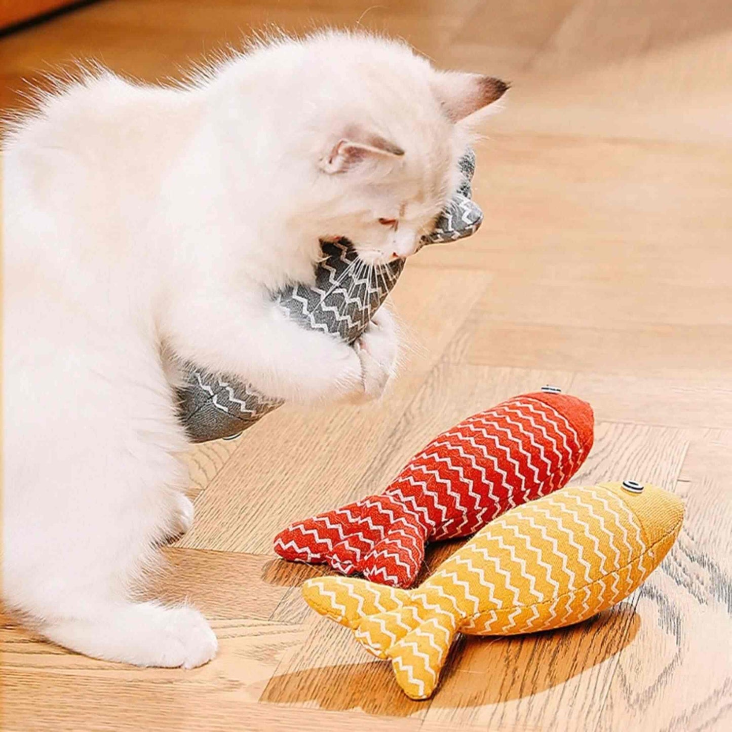 Poisson pour chat | Poisson'Mignon