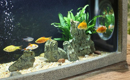 Fontaine avec aquarium à poisson