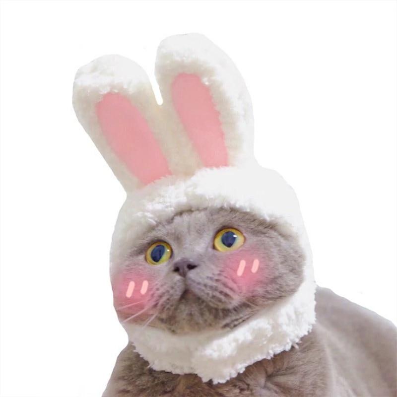 déguisement pour chat | RabbitHat