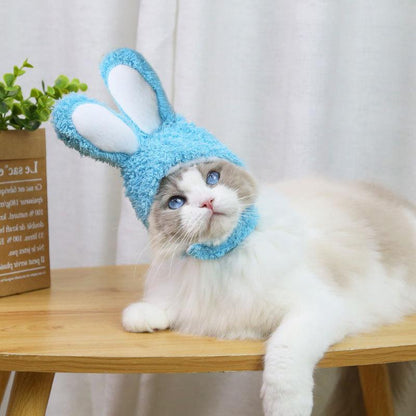 déguisement pour chat | RabbitHat
