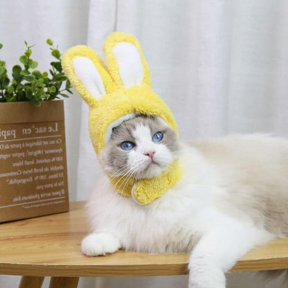 déguisement pour chat | RabbitHat