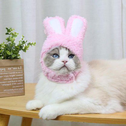 déguisement pour chat | RabbitHat