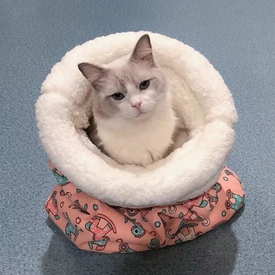 sac de couchage chat chaud