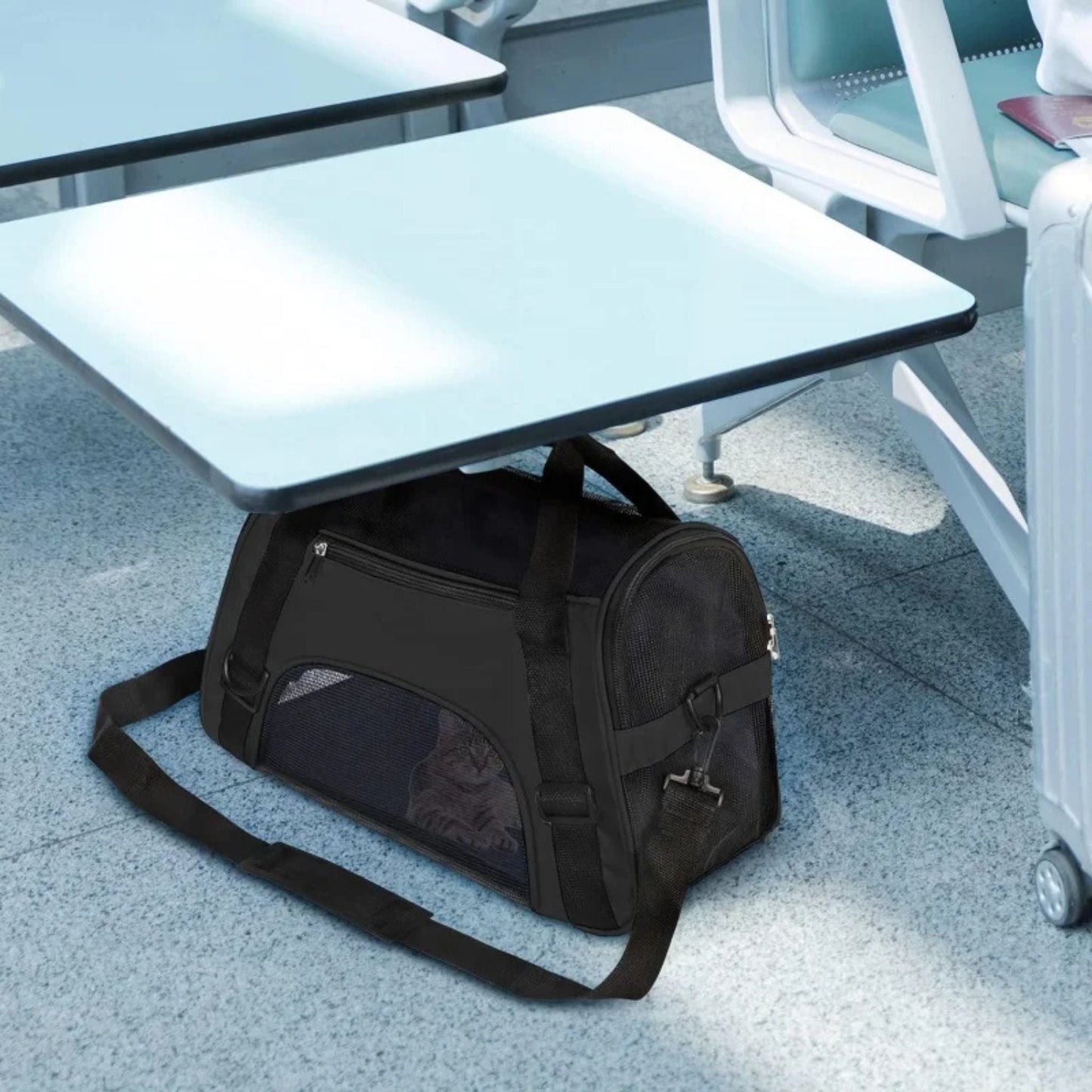sac-transport-chat-noir-voyage
