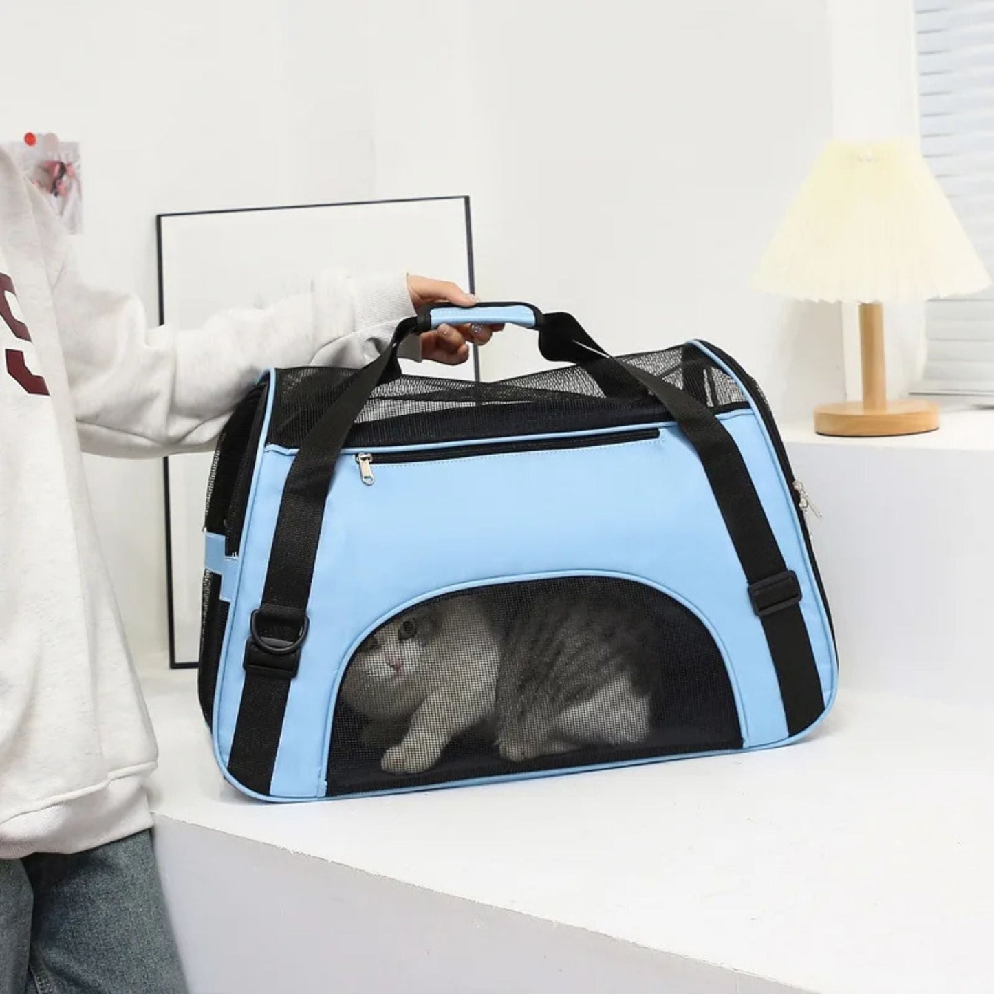 sac-transport-chat-poignée