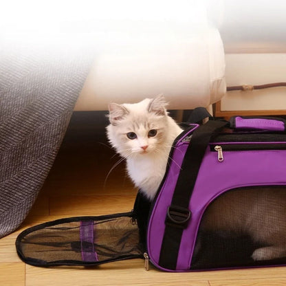 sac-transport-chat-violet-happy-journey