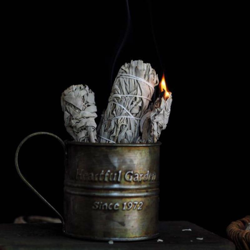 Sauge Blanche à brûler