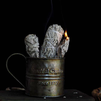 Sauge Blanche à brûler