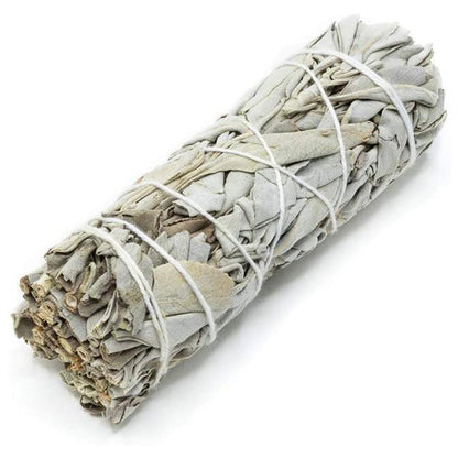 Sauge Blanche