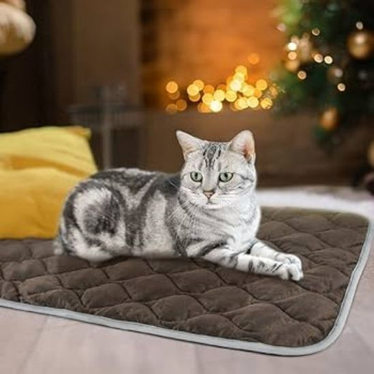 tapis chauffant chat thermique