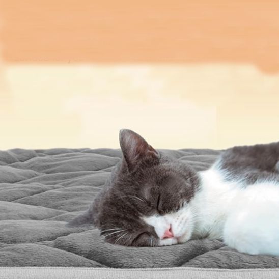 tapis chauffant chat thermique