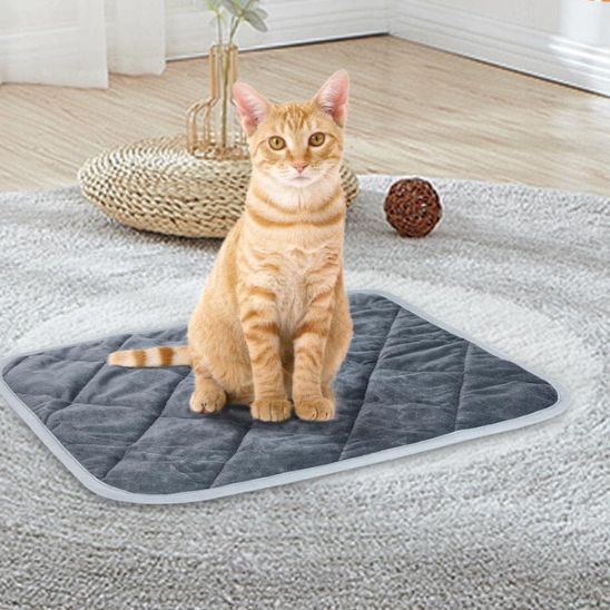 tapis chauffant chat thermique