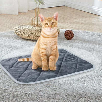 tapis chauffant chat thermique