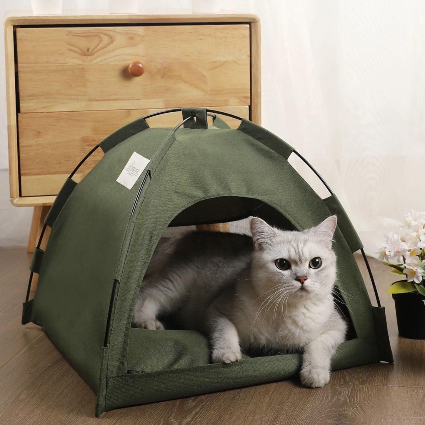 tente-pour-chat-verte