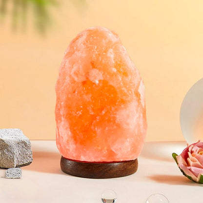 Véritable Lampe de Sel D'Himalaya 2 à 3 kg